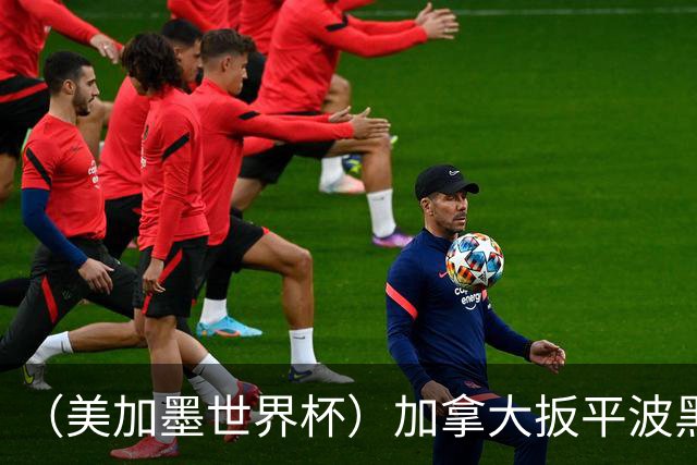 （美加墨世界杯）加拿大扳平波黑 获队史世界杯首分