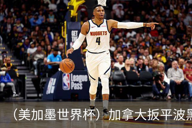 （美加墨世界杯）加拿大扳平波黑 获队史世界杯首分